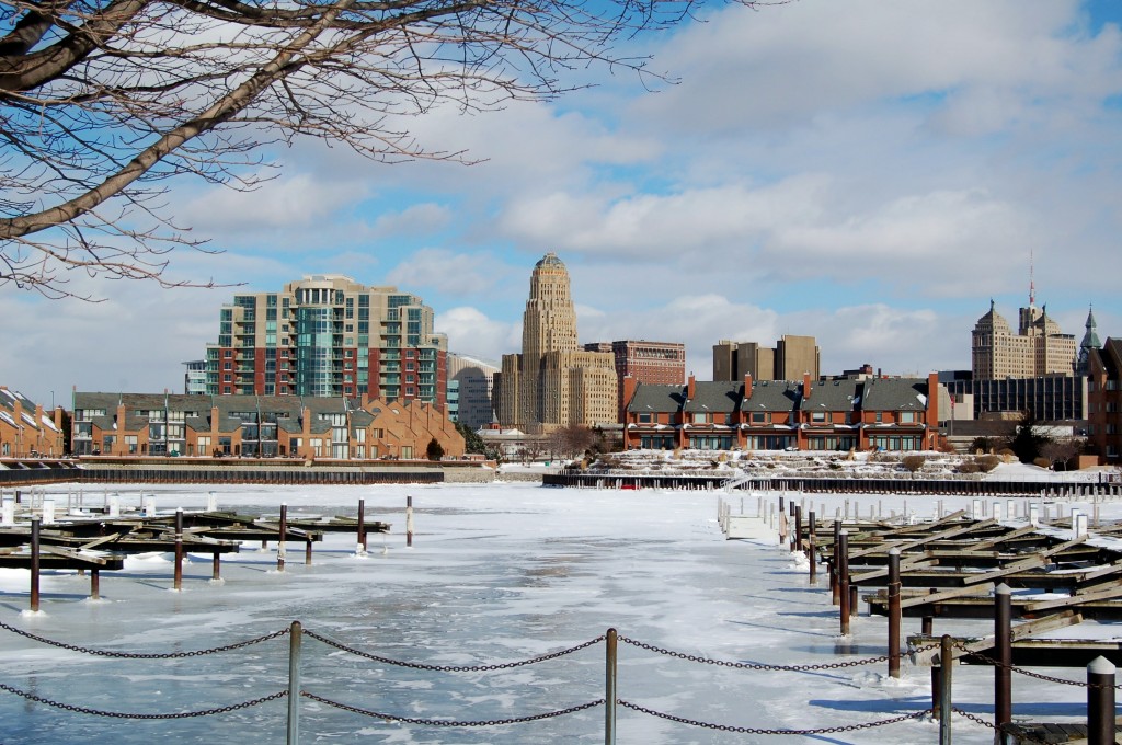 Buffalo Skyline In Winter